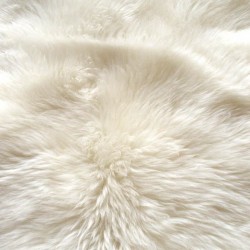 What is Shearling?